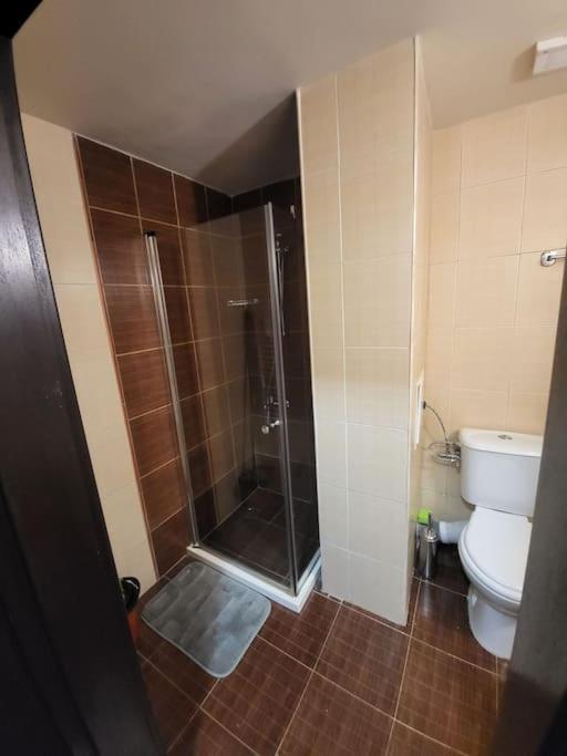 Bansko Royal Towers 253 Apartment Екстериор снимка